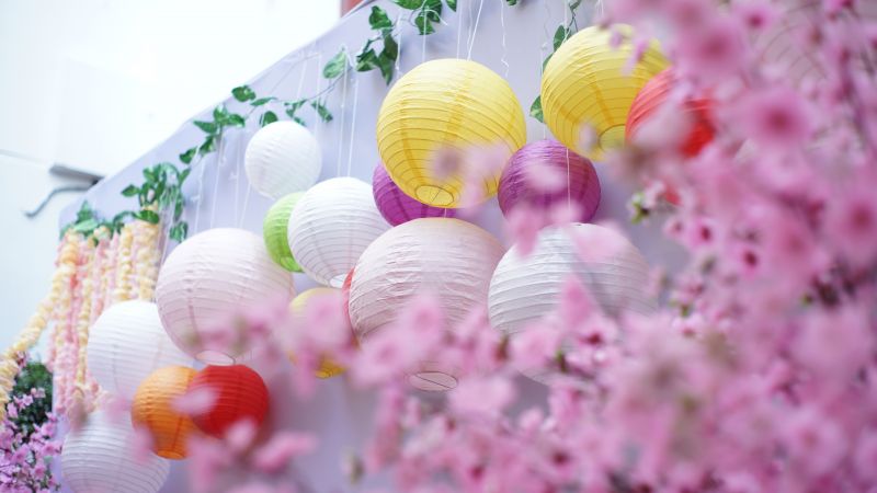 Ngày hội Nhật Bản 2019